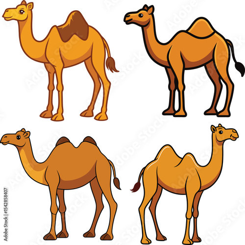 Four cartoon camels one hump two humps illustration