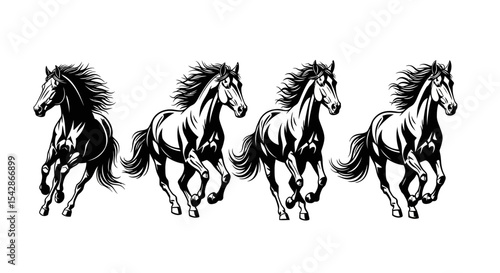 Four Black and White Horses Running, Vector Illustration, Isolated on White