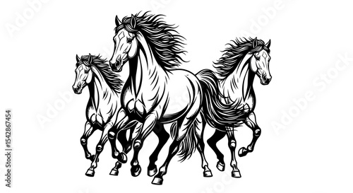 Three Running Horses Vector Illustration in Black and White Graphic Style