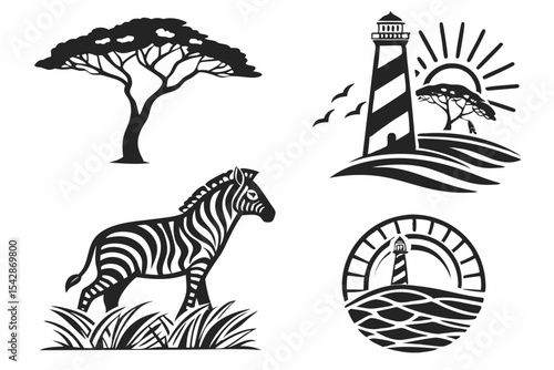 zebra