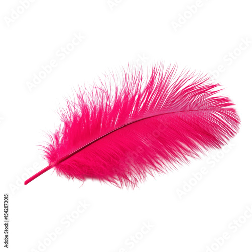 pink feather on a transparent or white isolated background. png