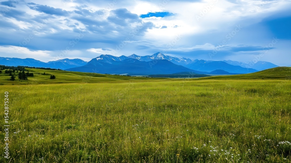 Fototapeta premium Mountain meadow landscape
