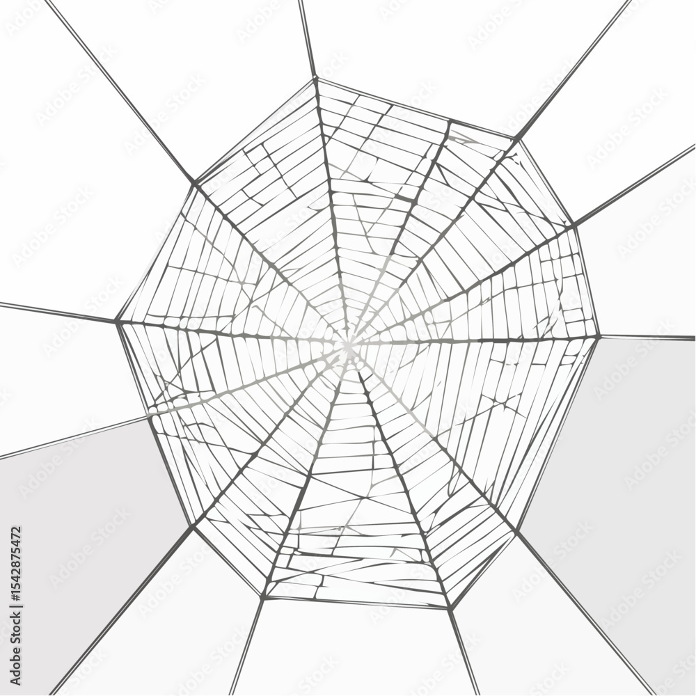 Obraz premium vector Network of interconnected shapes inspired by the structure of spider silk