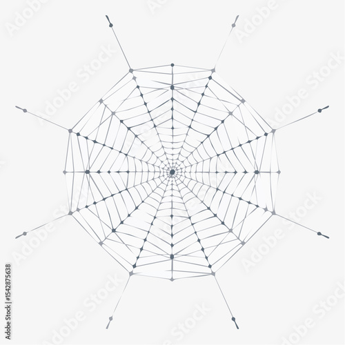 vector Network of interconnected shapes inspired by the structure of spider silk