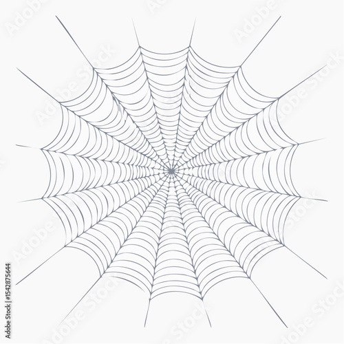 vector Network of interconnected shapes inspired by the structure of spider silk