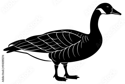 goose isolated on white background
