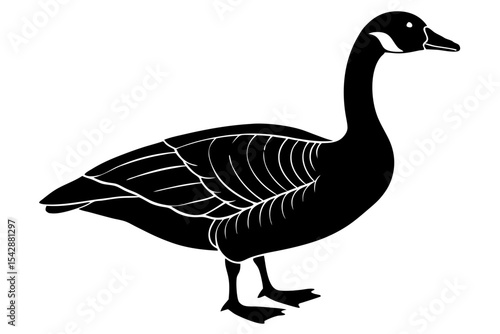 goose isolated on white background