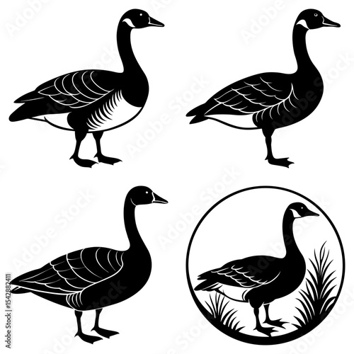 Four black and white geese illustrations standing in various poses and compositions design element