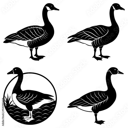 Four monochrome illustrations of canada geese in various poses and settings in a vector format