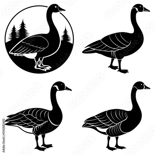 Four black and white illustrations of canada geese in different poses and settings in the image art