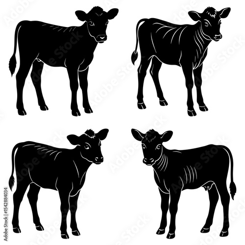 Four black silhouette calves standing in various poses on a white background illustration image
