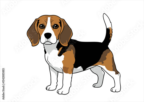 dog, illustration, beagle, animal, cute, isolated, puppy, breed, vector, pet, canine, cartoon, design, funny, doggy, domestic, graphic, character, happy, icon, collection, friendly, set, head, drawing