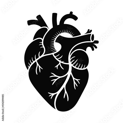 Detailed Human Heart Vector