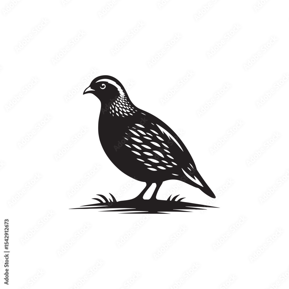 Obraz premium Elegant Quail Vector Silhouette Design – Bold Wildlife Icon Featuring Upright Pose and Distinct Feather Plume, Perfect for Countryside Artwork, Farm Logos, and Woodland Illustration Styles