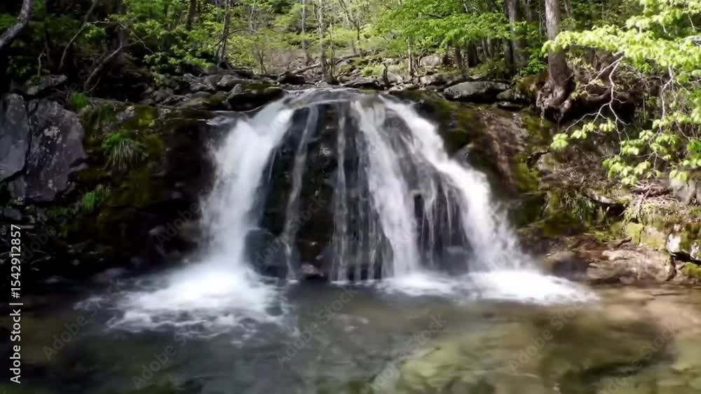 Cascading waterfall in a lush forest Cascading waterfall in a lush forest