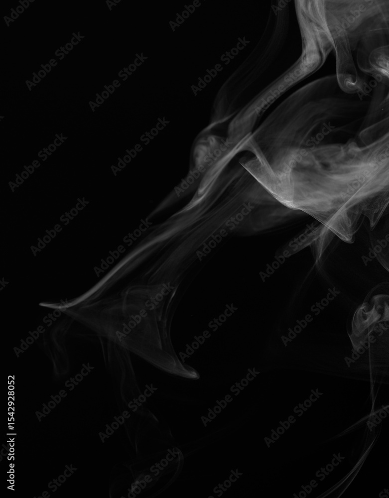 Fototapeta premium White Smoke Swirls on Black Background for Composite Use