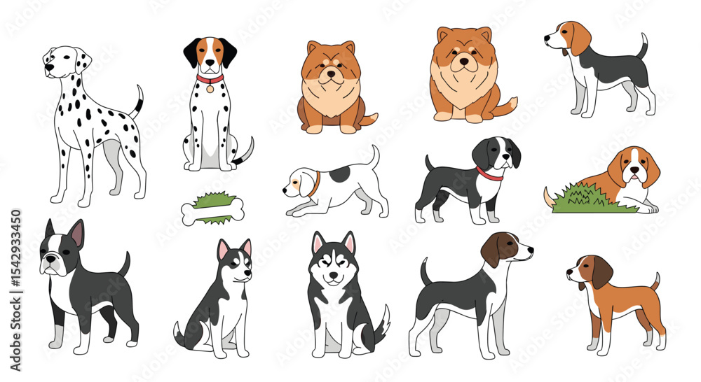 Fototapeta premium Adobe Illustrator Artwork