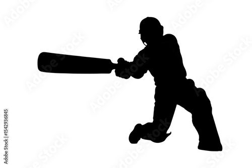 silhouette of a cricket plyer hit the ball