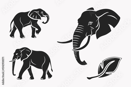 set of elephants