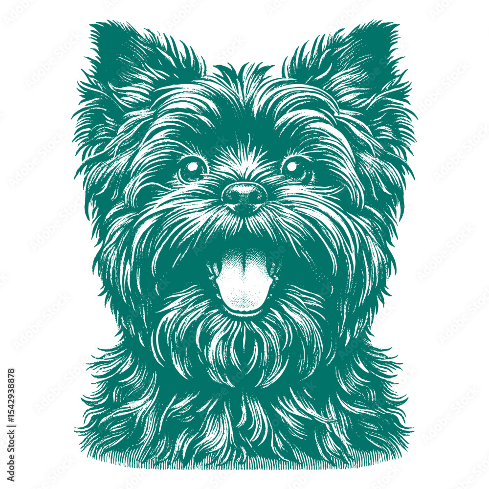 Naklejka premium Affenpinscher