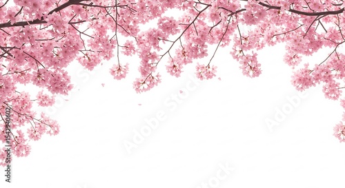 春の柔らかな光に満ちた桜の枝 繊細なピンクの花びら舞い降りる. AI Generated