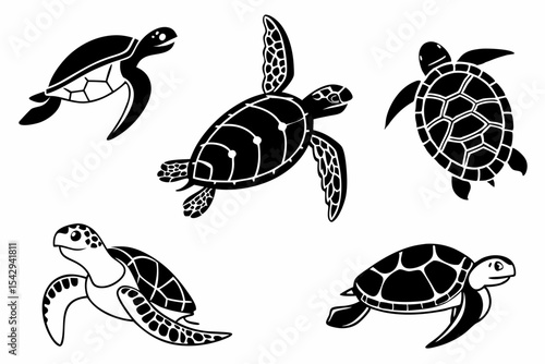 set of sea turtles