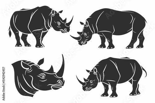 rhino