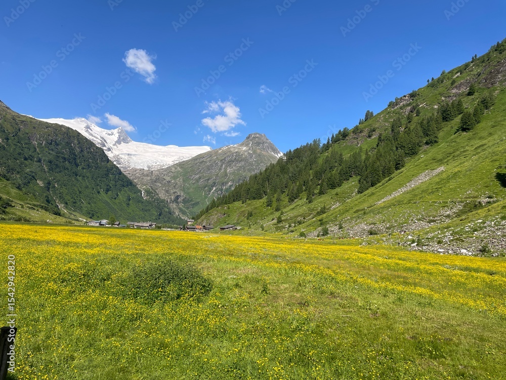 Obraz premium Wanderung Osttirol Schlatenkees