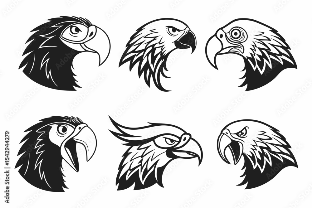 Obraz premium set of eagle