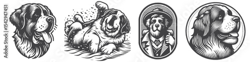 Vintage Hand-Drawn Saint Bernard Dog Collection Illustration, Gentle Giant Engraved Style Vector for T-Shirts and Pet Lover Themes Design