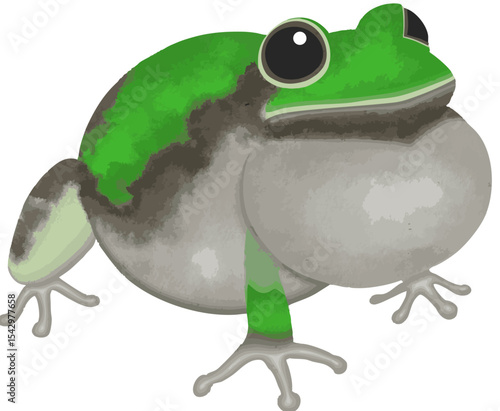 カエルのイラスト素材（ベクター素材）