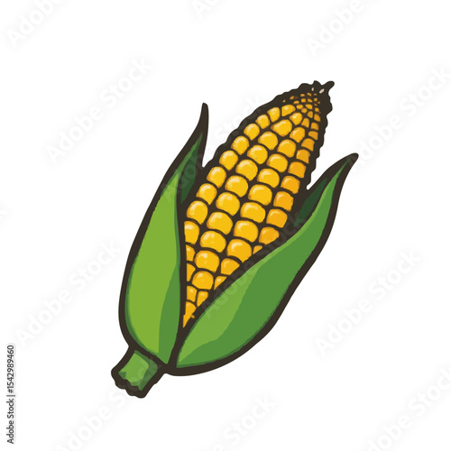 corn on a white background