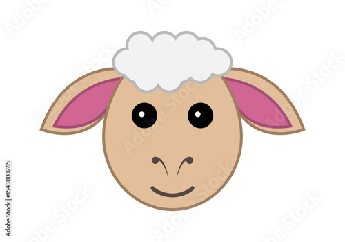 Cara de oveja en fondo blanco