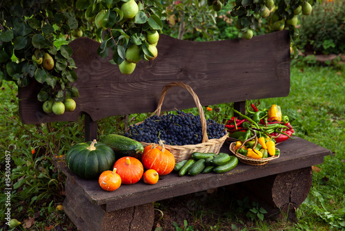 Fototapeta Naklejka Na Ścianę i Meble -  Fresh organic autumn harvest of fruits and vegetables on wooden bench in garden.