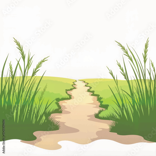 Weathered path through tall grass on white background, nature concept