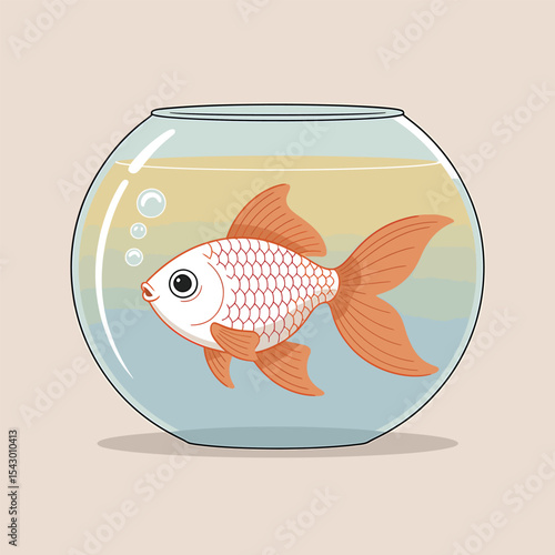 Colorful fish swimming in glass aquarium on blue background