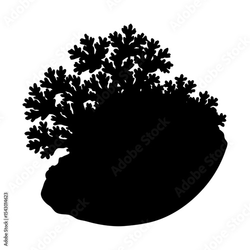 Silhouette of coral reef marine life ocean aquatic underwater vector art