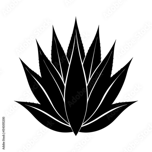 Agave plant succulent vector graphic illustration design floral botany art silhouette