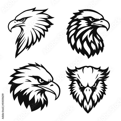 Collection of eagle heads in black and white vector style with a sharp beak and expressive eyes directed forward, eagle head, bird head, eagle face, bird of prey