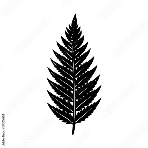 Botanical fern frond vector illustration foliage design nature element silhouette