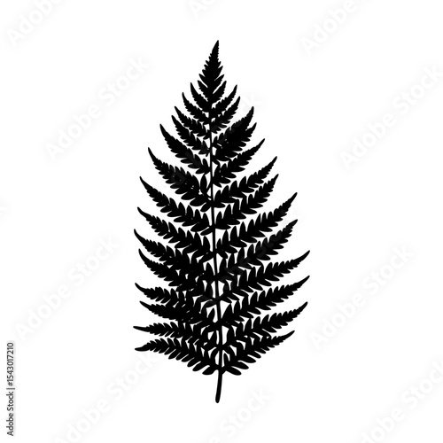 Botanical foliage fern frond greenery garden leaf plant silhouette vector