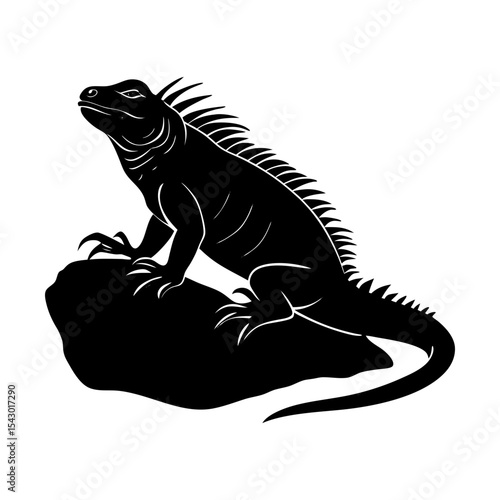 Reptile iguana vector illustration exotic animal lizard wildlife design silhouette