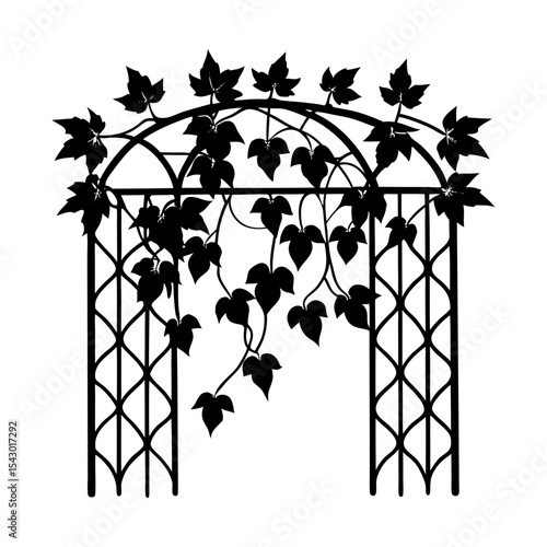 Arbor garden vine foliage trellis botanical plant climbing silhouette