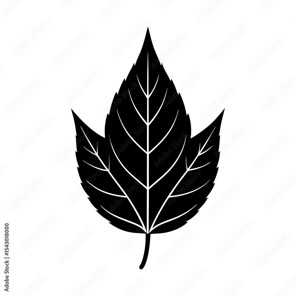 Fototapeta premium Botanical foliage design element vector leaf illustration plant nature art silhouette
