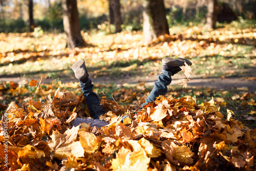 Happy little boy diving into pile of golden maple leaves in beautiful autumn park on warm sunny autumn day