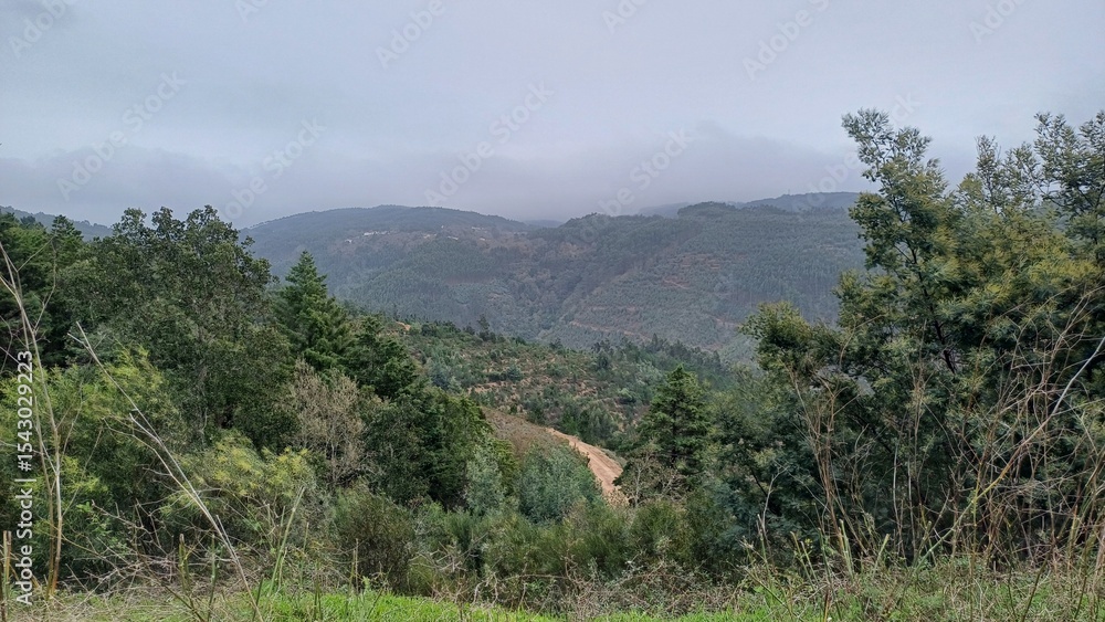 Obraz premium Mittelportugals Bergwälder – Grüne Wildnis zwischen Gipfeln & Tälern