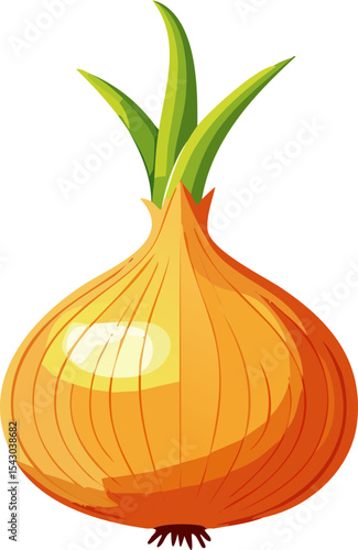onion isolated on white