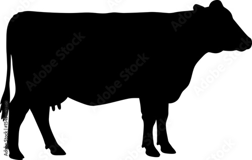 Farm Cow Silhouette: Dairy & Livestock Animal Vector