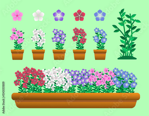 Colorful Periwinkle Flower Pot Collection