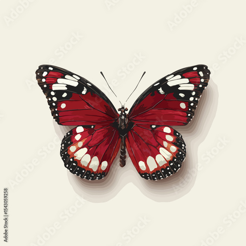 butterfly isolated in White Background, butterfly vector, Flat lay vector illustration